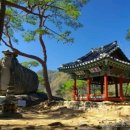 무릉도원면-39 이미지