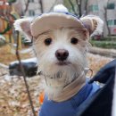 참한세상