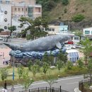 장생포고래박물관 이미지