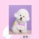 단지까까 이미지