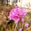 온드림브레드카페 이미지