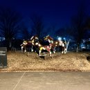 원주시향 제191회 정기연주회 | 260129 부산시향 브루크너 교향곡 5번 <DIGNITY>