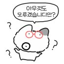주플레르플라워