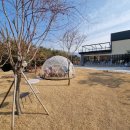 내촌춘천닭갈비 이미지