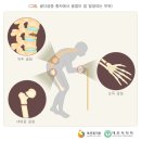 씨에스나무병원 이미지
