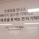 더드림(인셀덤)
