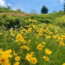 순천만국가정원 이미지