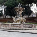로마(Rome) 이미지