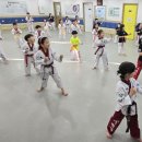 용인대 참 태권도장 이미지