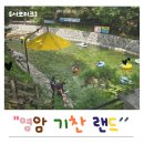 하니랜드수영장(실외) | 성수기에도 대기 없이 바로 들어간 꿀팁 영암 기찬랜드 후기
