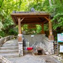 늘푸른 관광농원 이미지