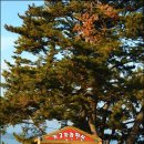 가고파라펜션 이미지