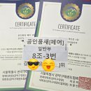 신대호 태권도 전문도장 | [관악구성인태권도]제 27회 관악구청장기 전국태권도경연대회 다녀온 찐 후기!!