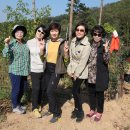 김영범농장 이미지