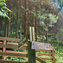 완주 편백숲 관광안내소 이미지