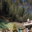 시온 민박 이미지