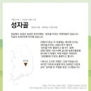 성자골2 이미지
