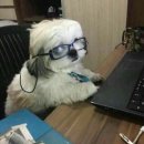 퍼펙트오피스