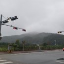 찬호분식