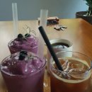 도토리 강아지 유치원 이미지