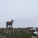 법률사무소미가 네이버블로그