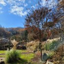 메이폴하우스 | 양평 독채펜션 감성숙소 메이폴하우스펜션 2박 3일 후기