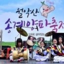 미륵송계로 Daum카페