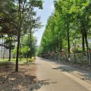 트리풀시티원공인중개사사무소 이미지