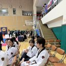 무빙 익스트림 태권도장 이미지