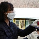 후계자농장 이미지