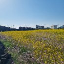 편안한 쇼핑 | 제주도택시투어 가격 부담없는 편안한 여행 후기