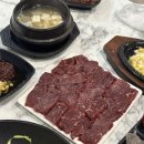 마녀생&육