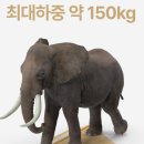 오투오 | 퉁퉁 붓는 다리 고민 끝! 건강공화국 레그필라 종아리스트레칭보드 후기