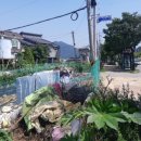 화생주유소 이미지