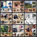 용미2리 이미지