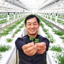 클로버농장 이미지