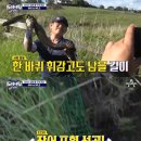 어부농장 이미지