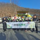 초록e