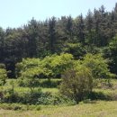 남해-134 이미지