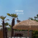 스테이꾸꾸 이미지