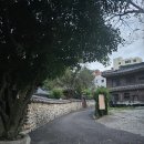 신대암메디칼의원 이미지