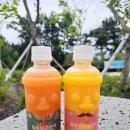 주식회사 제주몬딱 네이버블로그