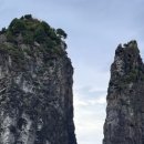 스테이 섬씽 울릉도 이미지