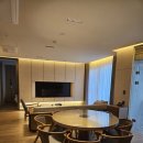 소노펠리체 델피노 이미지