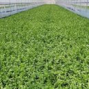 옥산농원 이미지