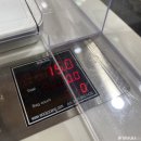 제주첫날두근 이미지