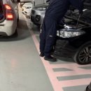 애니카랜드 양재 남부점 이미지