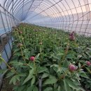 가래골농장 이미지