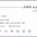 프라하&타로 이미지