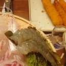 대구대봉동우체국 | [대구 대봉동 맛집] 분위기에 취하고 신선함에 반하는 '구공회' 솔직 후기